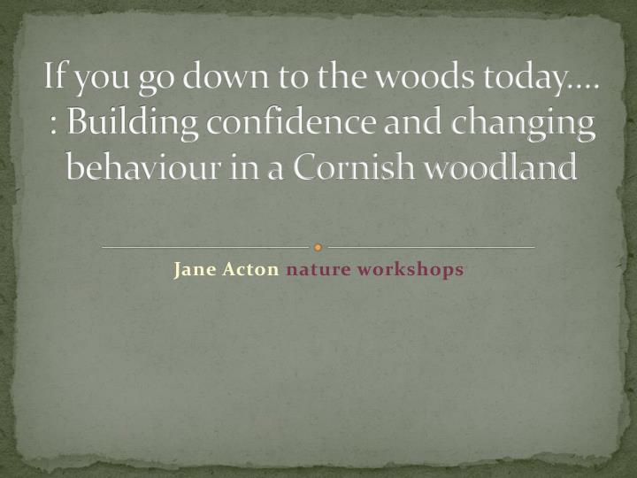 if you go down to the woods today building confidence and changing behaviour in a cornish woodland