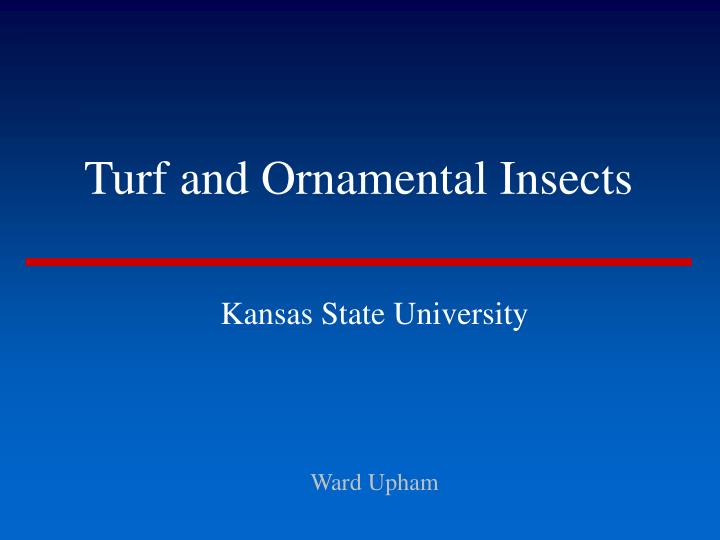 turf and ornamental insects