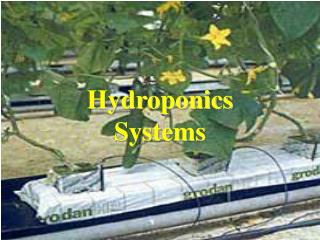 Hydroponics Systems