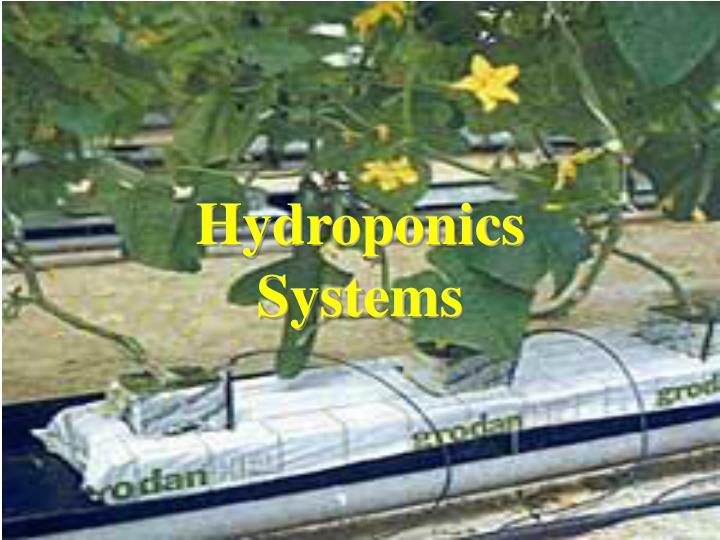 hydroponics systems