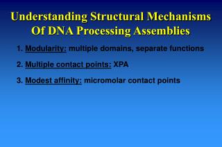 Understanding Structural Mechanisms Of DNA Processing Assemblies