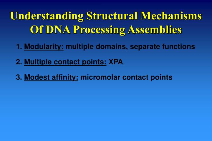 understanding structural mechanisms of dna processing assemblies