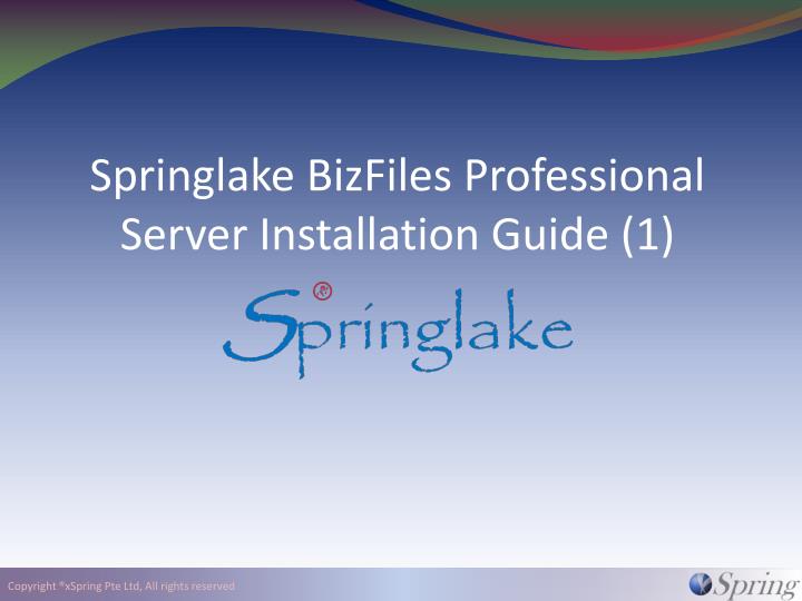 springlake bizfiles professional server installation guide 1