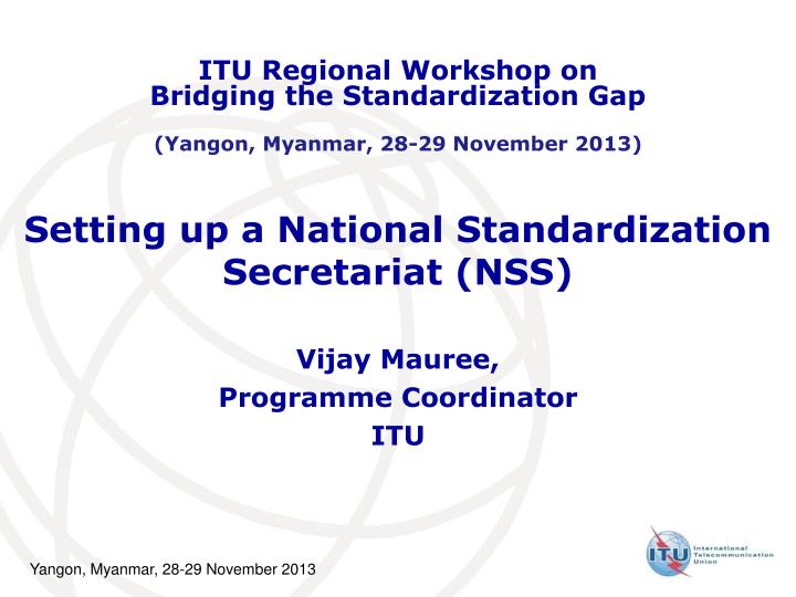 setting up a national standardization secretariat nss