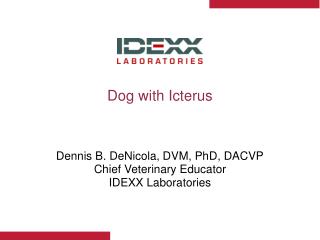 Dog with Icterus