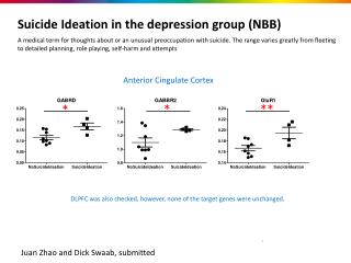 Suicide Ideation in the depression group (NBB)