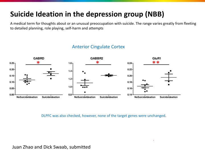 suicide ideation in the depression group nbb