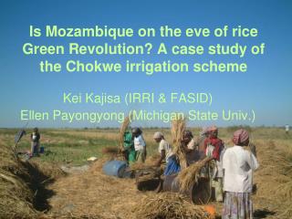 Is Mozambique on the eve of rice Green Revolution? A case study of the Chokwe irrigation scheme