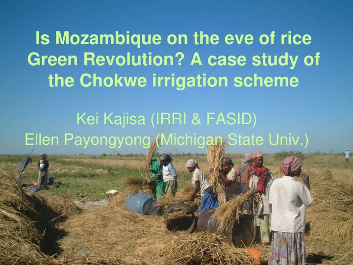 is mozambique on the eve of rice green revolution a case study of the chokwe irrigation scheme