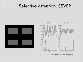 Selective attention: SSVEP
