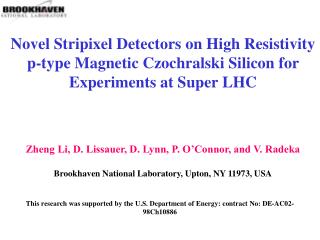 Novel Stripixel Detectors on High Resistivity p-type Magnetic Czochralski Silicon for