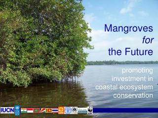 Mangroves for the Future promoting investment in coastal ecosystem conservation