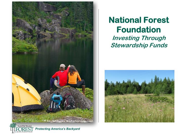 national forest foundation investing through stewardship funds