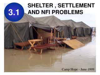 SHELTER , SETTLEMENT AND NFI PROBLEMS