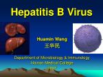 Hepatitis B Virus - slide 1