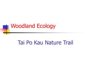 Woodland Ecology