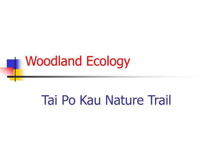 woodland ecology