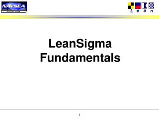 LeanSigma Fundamentals