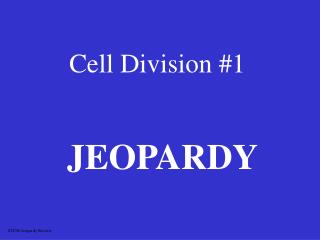 cell division 1