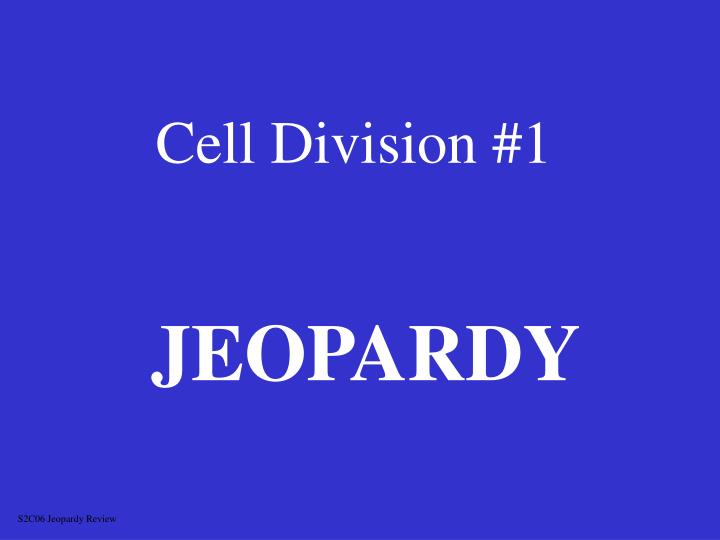 cell division 1