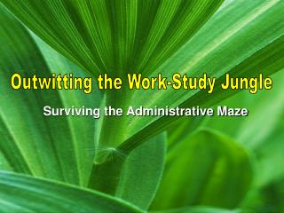 Surviving the Administrative Maze