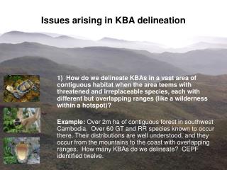 Issues arising in KBA delineation