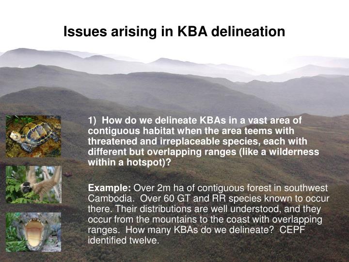 issues arising in kba delineation