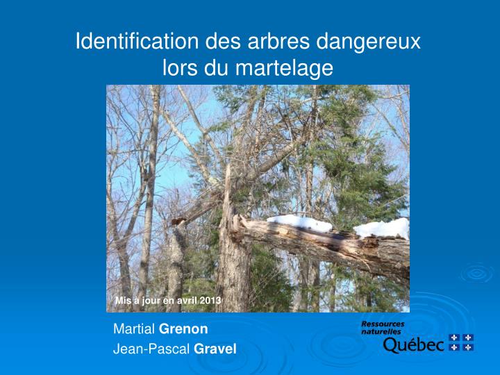 identification des arbres dangereux lors du martelage