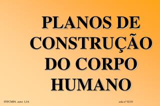 planos de constru o do corpo humano