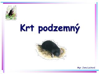 krt podzemn