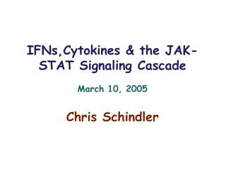 IFNs,Cytokines &amp; the JAK-STAT Signaling Cascade March 10, 2005 Chris Schindler