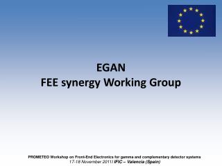 EGAN FEE synergy Working Group