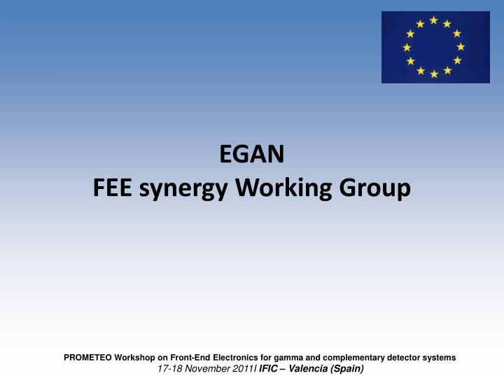 egan fee synergy working group