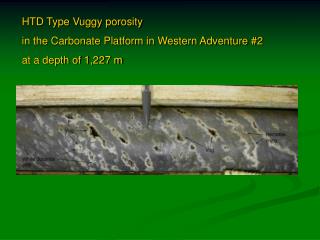 HTD Type Vuggy porosity in the Carbonate Platform in Western Adventure #2