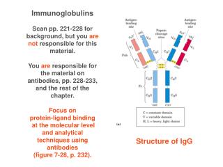 Immunoglobulins Scan pp. 221-228 for background, but you are not responsible for this material.