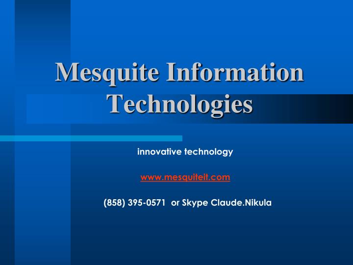 mesquite information technologies