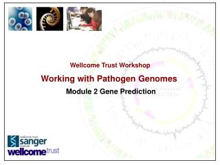 Wellcome Trust Workshop Working with Pathogen Genomes Module 2 Gene Prediction