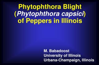 Phytophthora Blight ( Phytophthora capsici ) of Peppers in Illinois