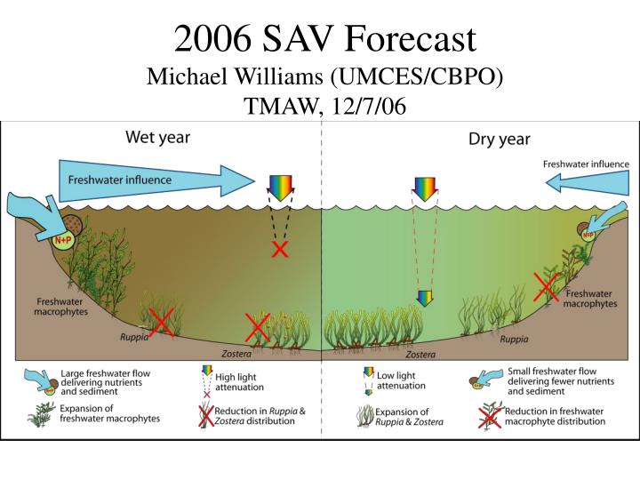 2006 sav forecast michael williams umces cbpo tmaw 12 7 06