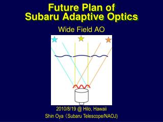 Future Plan of Subaru Adaptive Optics
