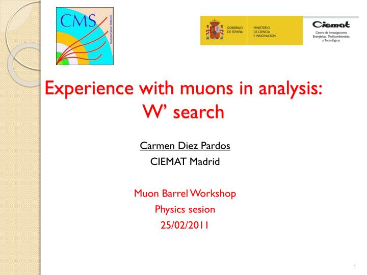 experience with muons in analysis w search