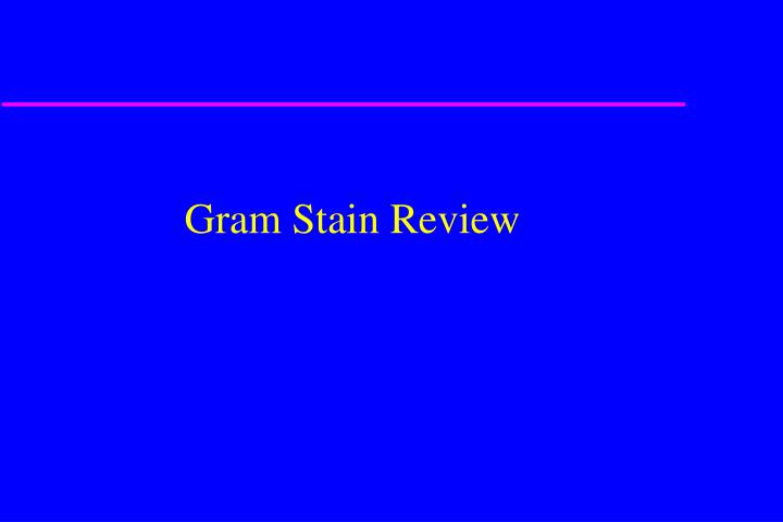 gram stain review