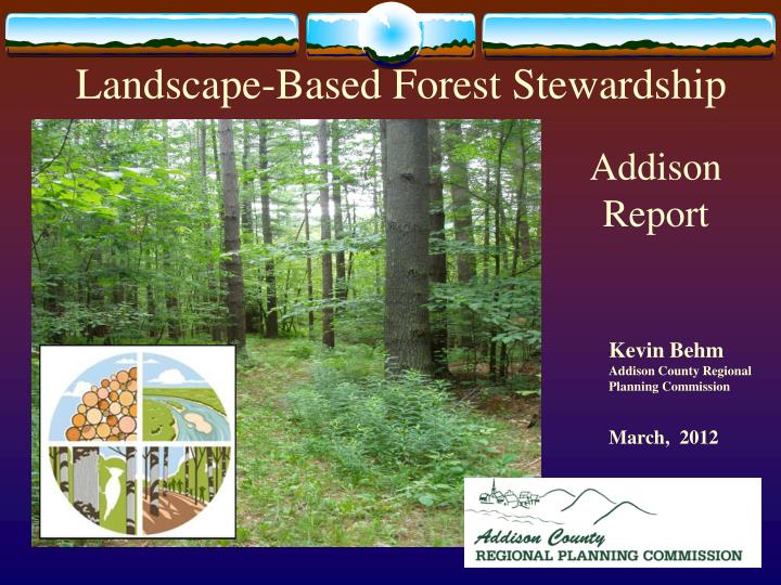 landscape based forest stewardship