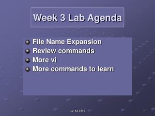 Week 3 Lab Agenda