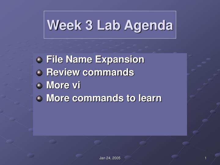 week 3 lab agenda