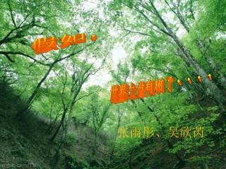 slide1