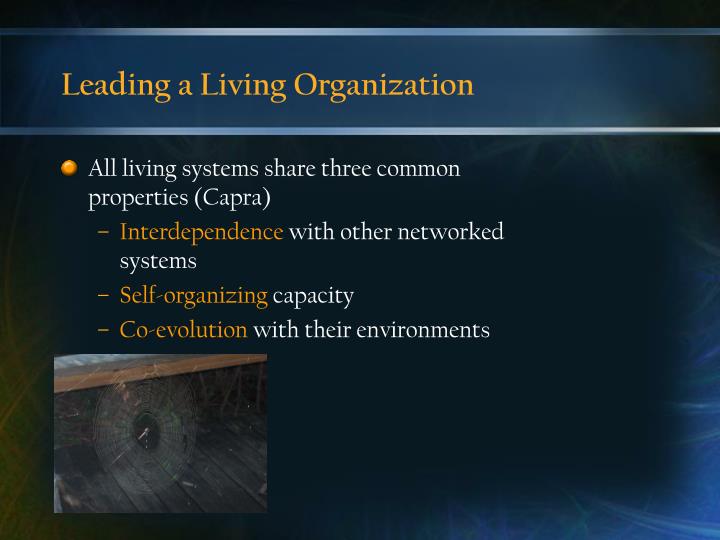 leading a living organization