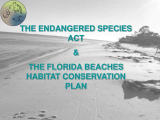 THE ENDANGERED SPECIES ACT &amp; THE FLORIDA BEACHES HABITAT CONSERVATION PLAN