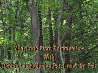 Measuring Plant Communities