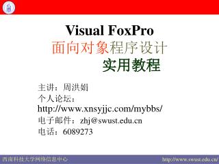 visual foxpro